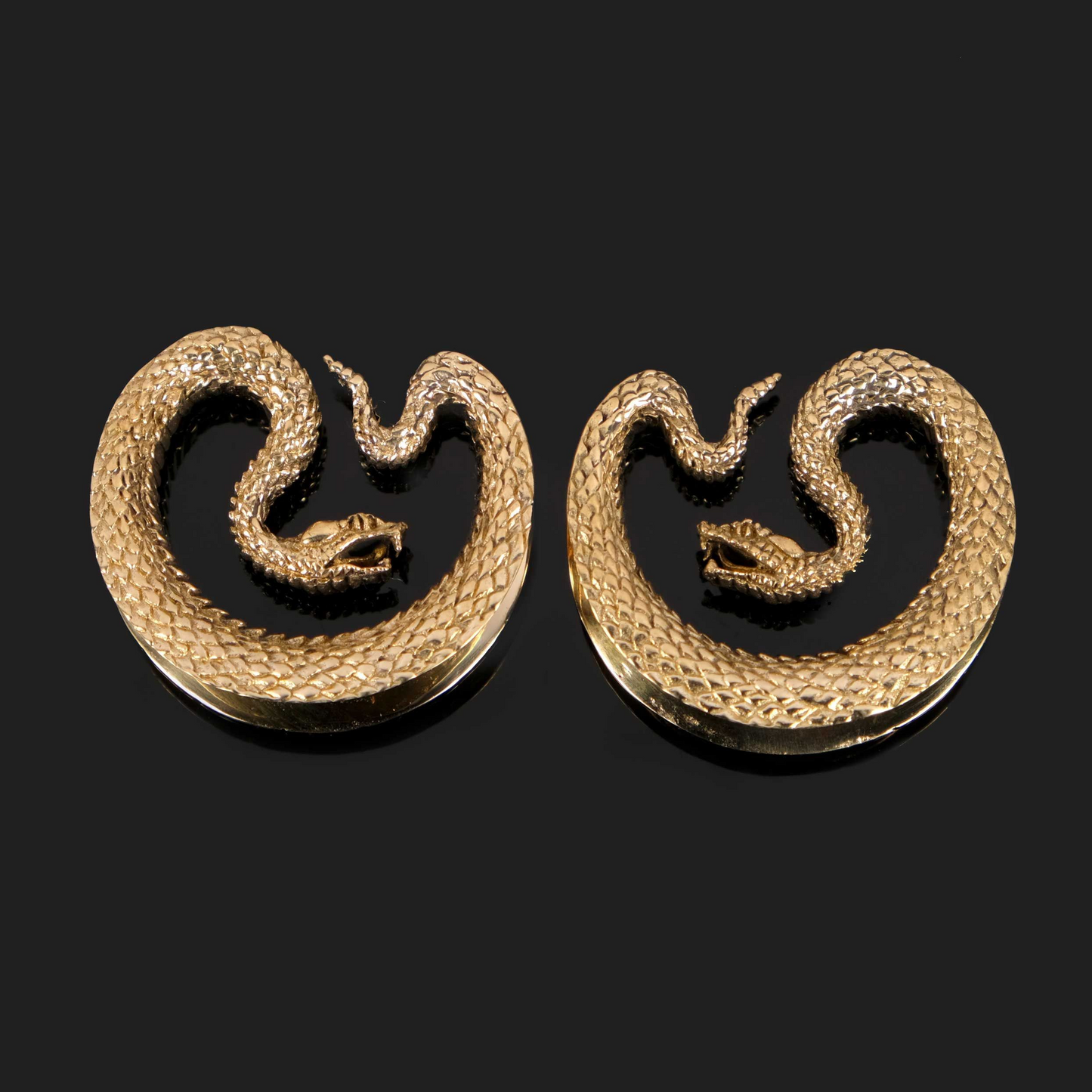 Snake Bite Saddle Plugs in Gold